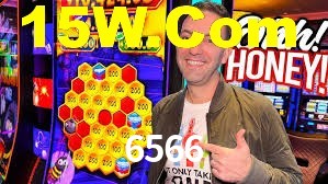 6566